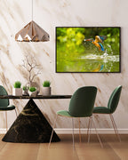 Jagender Eisvogel am Wasser