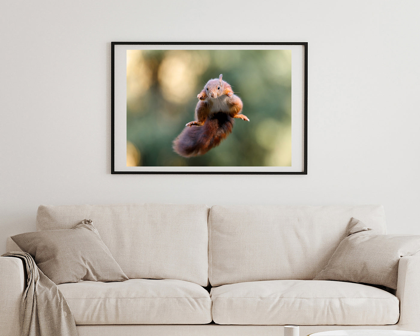 Springendes Eichhörnchen