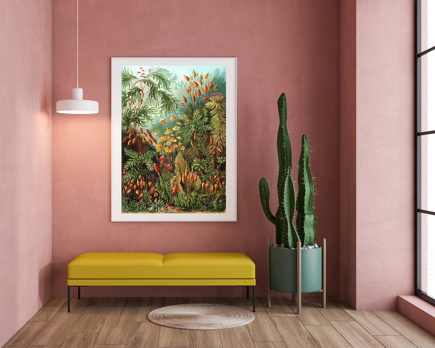 Ernst Haeckel - Botanik