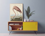 John James Audubon - Flamingo am Wasser I