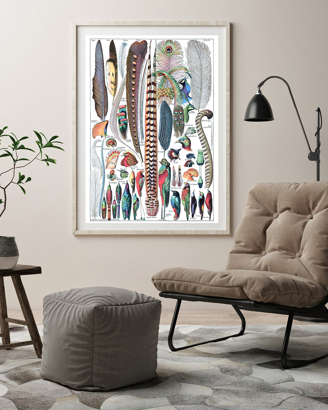 Adolphe Philippe Millot - Federn