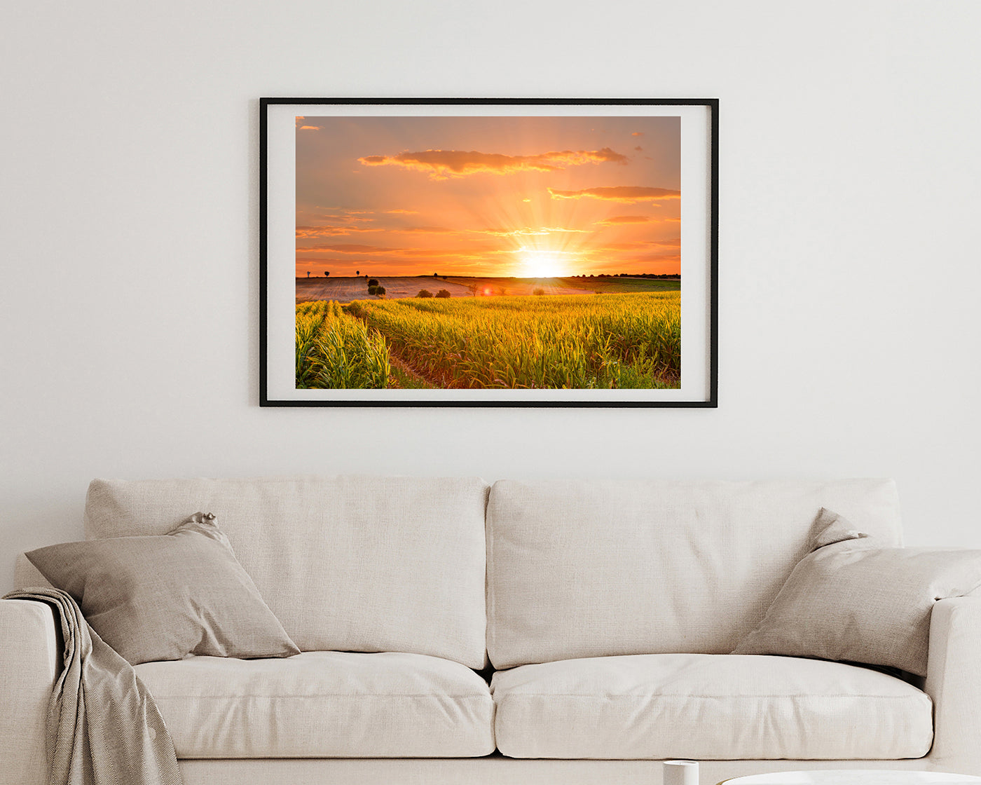 Sonnenuntergang am Feld