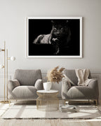 Schwarzer Panther auf schwarzem Hintergrund