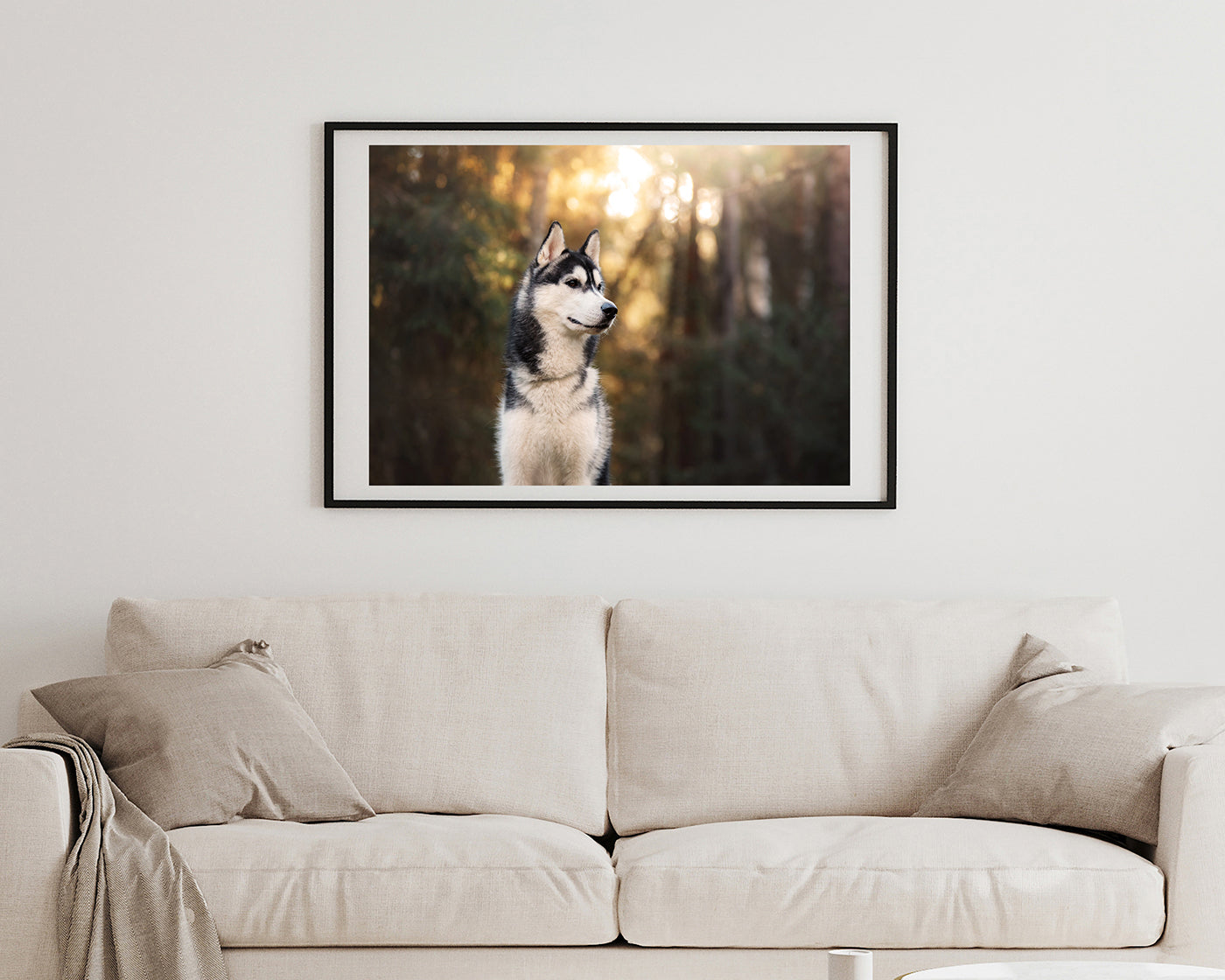 Husky im Wald