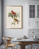 John James Audubon - Bunte Vögel auf Ästen