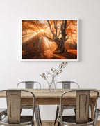 Sonnenstrahlen im Wald