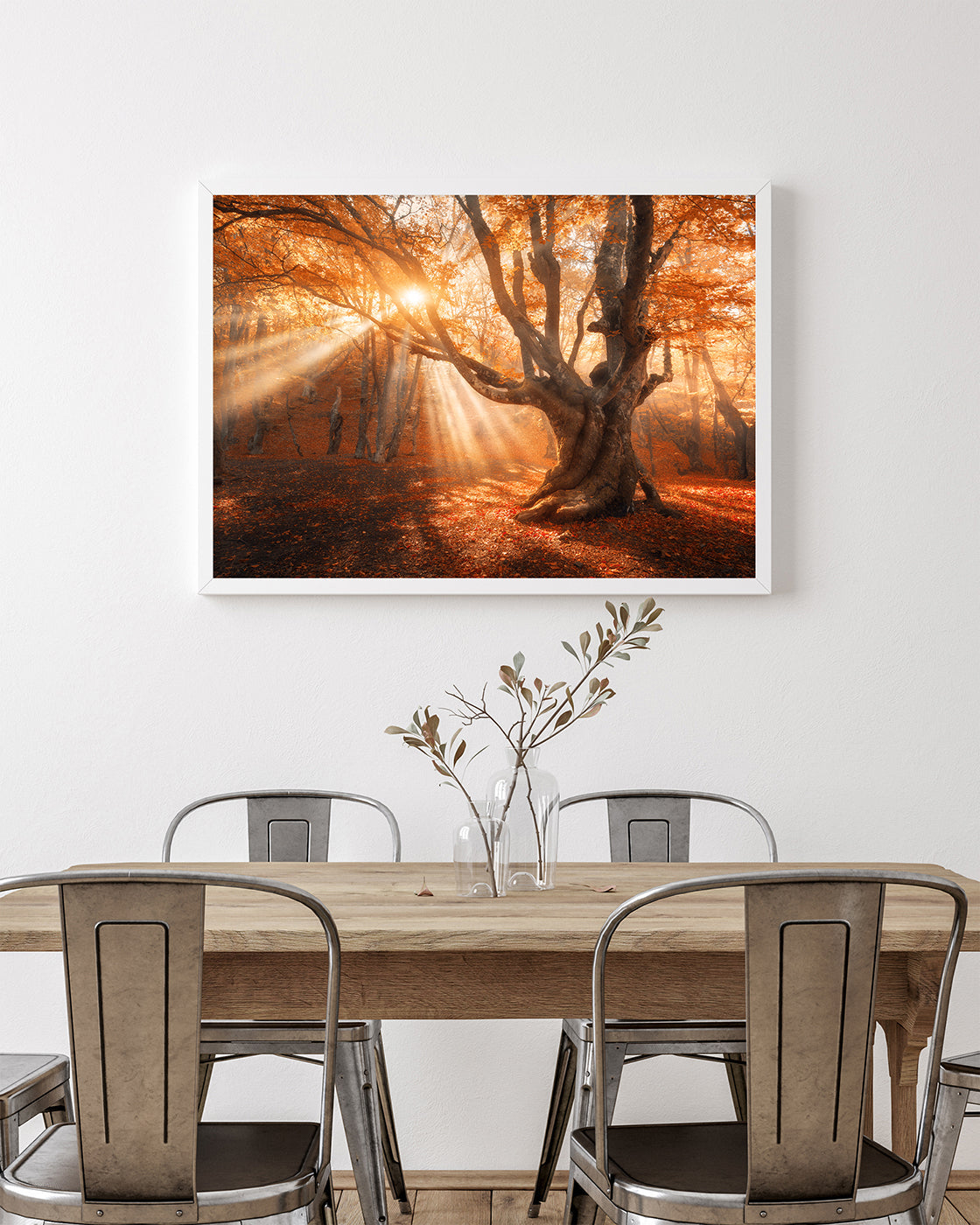 Sonnenstrahlen im Wald