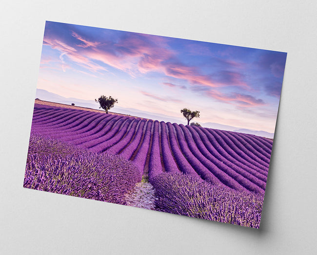 Fliederfeld Main Image