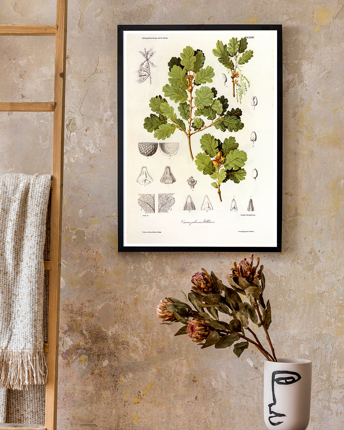 Eichenzweig mit Blättern und Eicheln