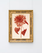 Blumenzeichnung - Sonnenblume