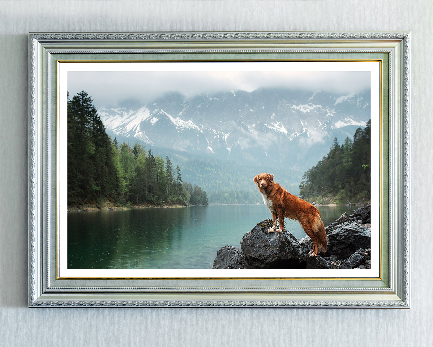 Hund in Berglandschaft