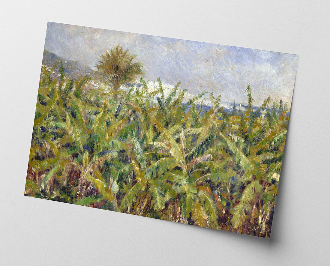 Pierre-Auguste Renoir - Feld mit Bananenbäumen