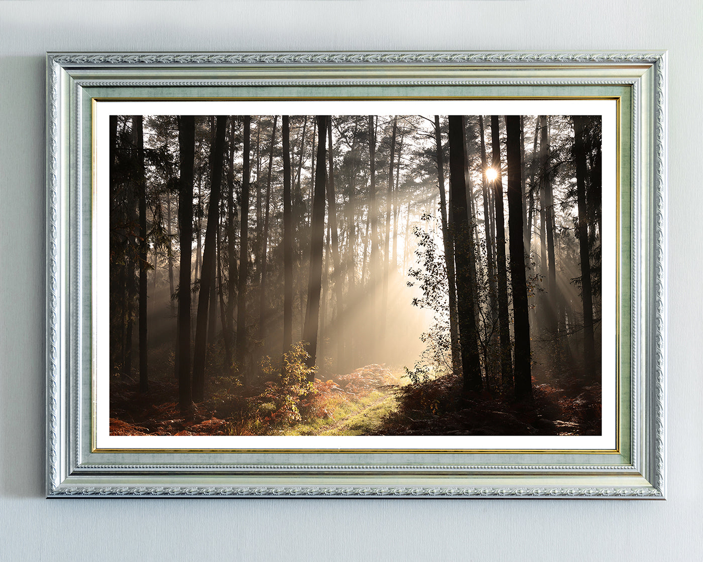 Sonnenstrahlen im Wald