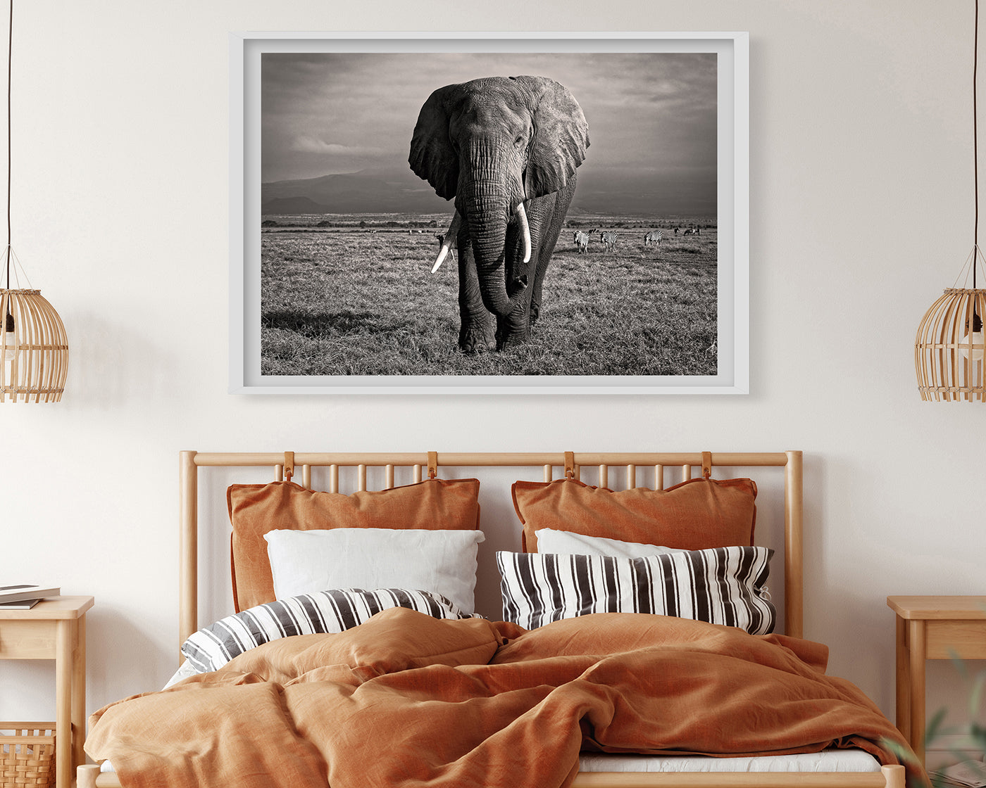 Elefant in Schwarz-Weiß