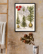 Weiße und rote Lilien