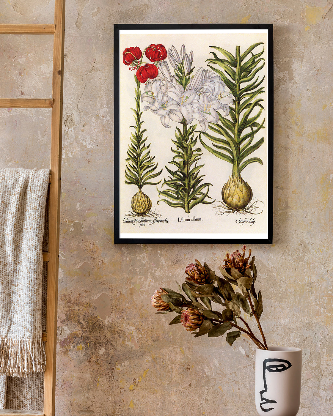 Weiße und rote Lilien