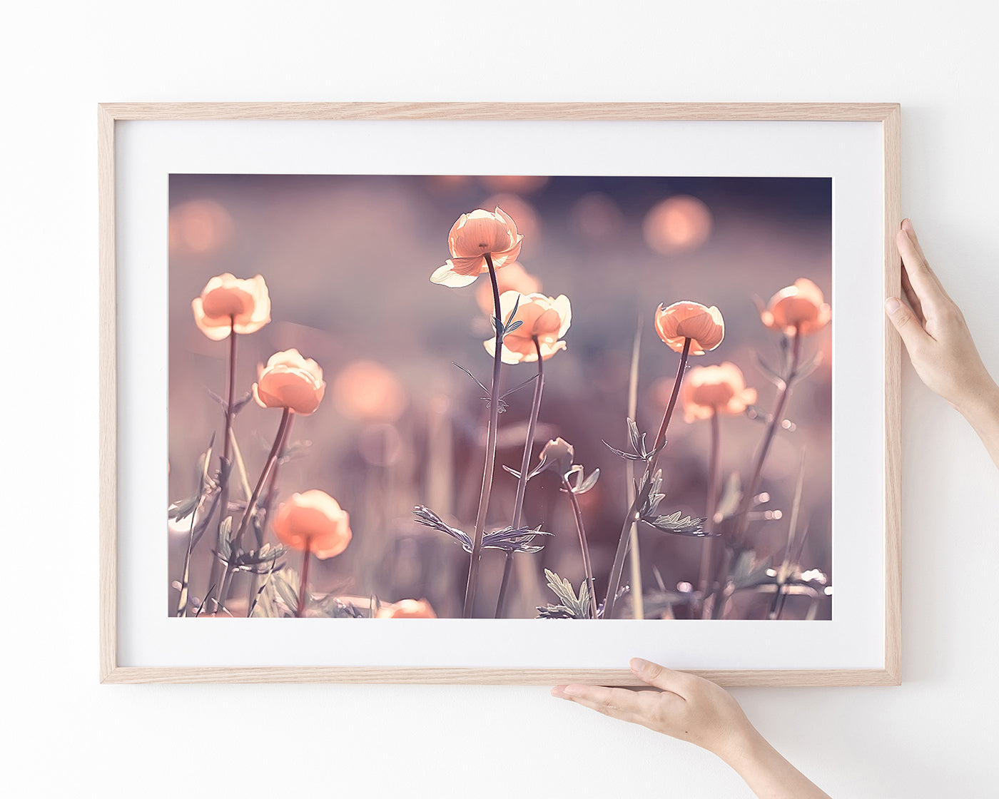 Blumen - Nahaufnahme