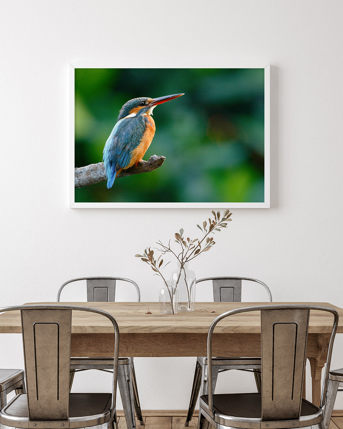 Eisvogel auf einem Ast