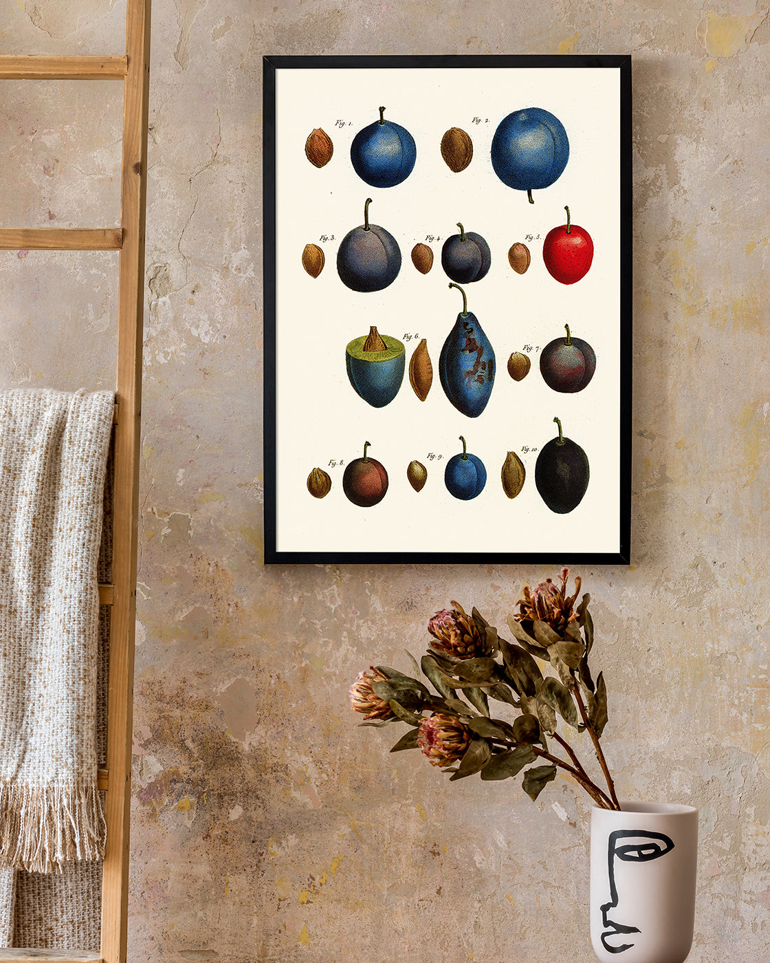 Pflaumenarten - Zwetschgen