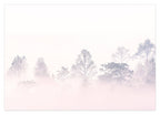 Bäume im Nebel