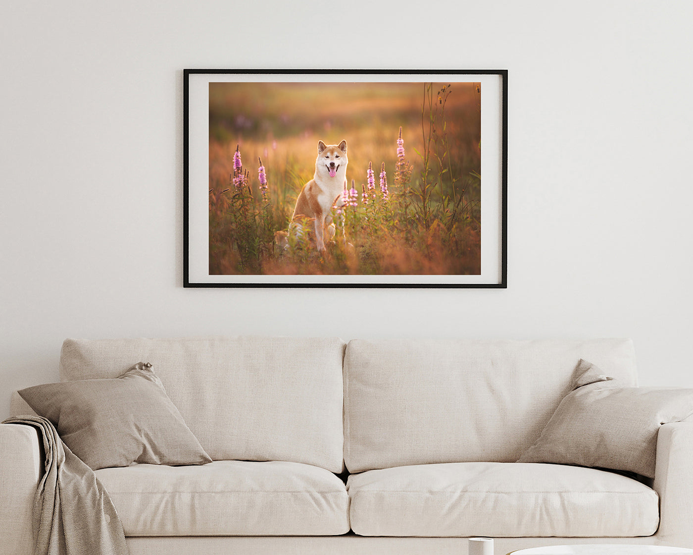 Shiba Inu in Blumenwiese