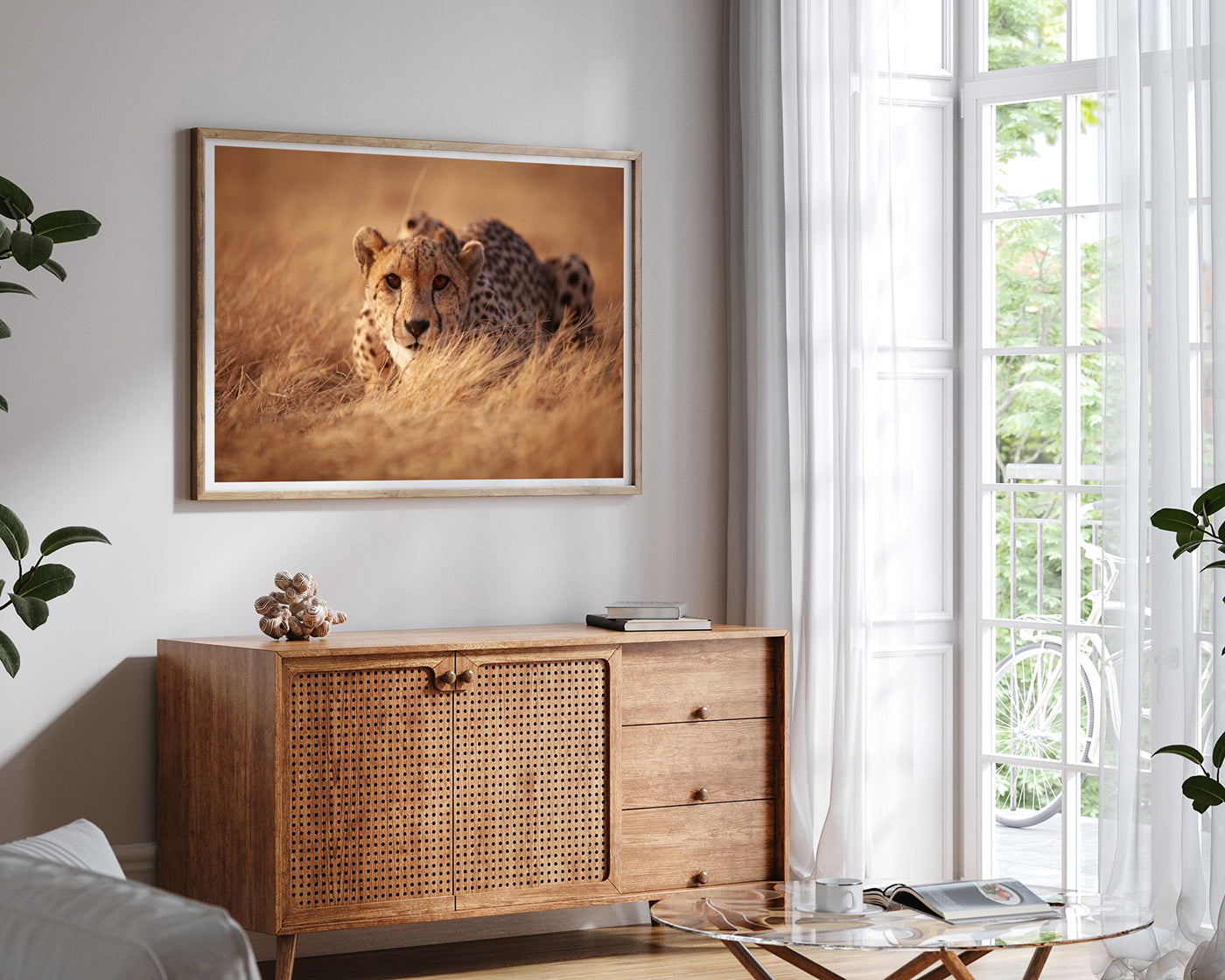 Anpirschender Gepard