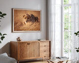 Anpirschender Gepard