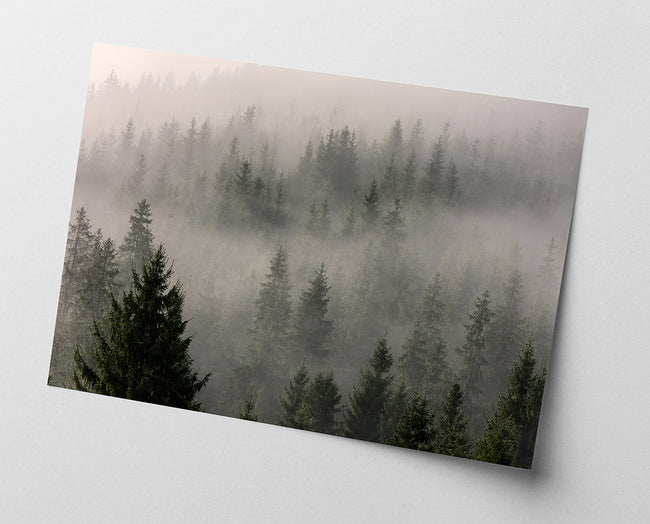 Wald im Nebel Main Image