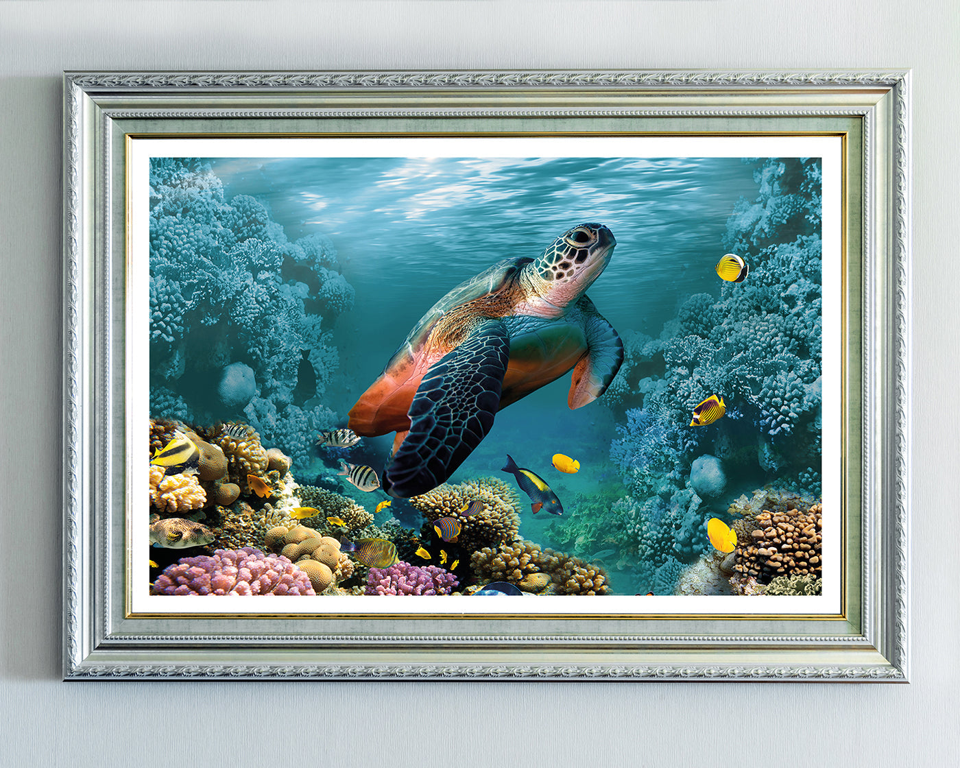 Schildkröte im Korallenriff