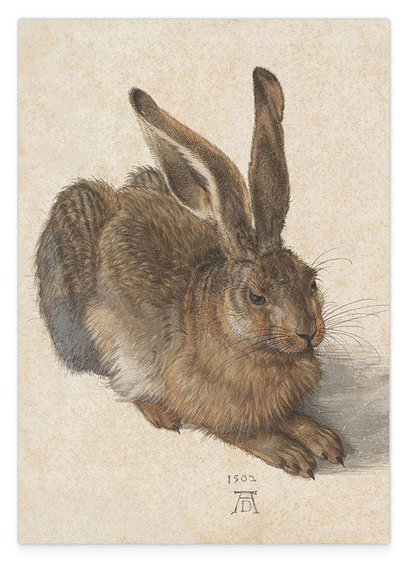 Albrecht Dürer - Feldhase Hover Image