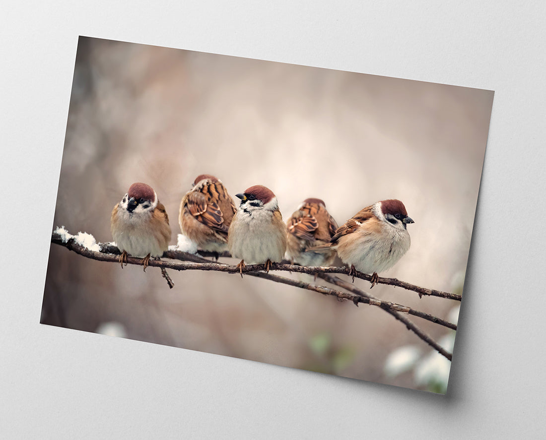 Spatzen auf einem Ast