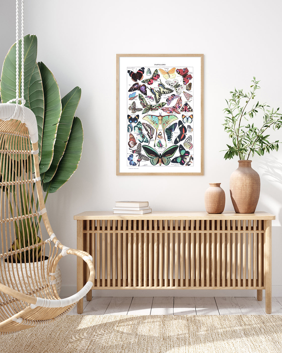 Adolphe Philippe Millot - Schmetterlinge