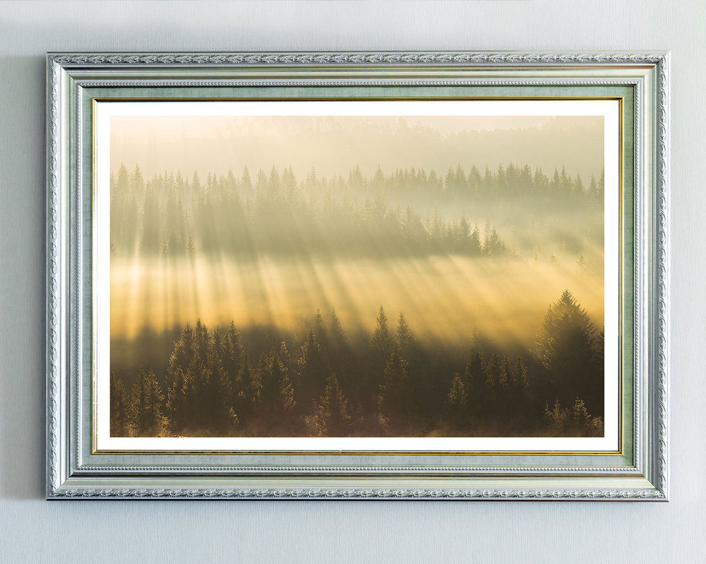 Sonnenstrahlen am Wald