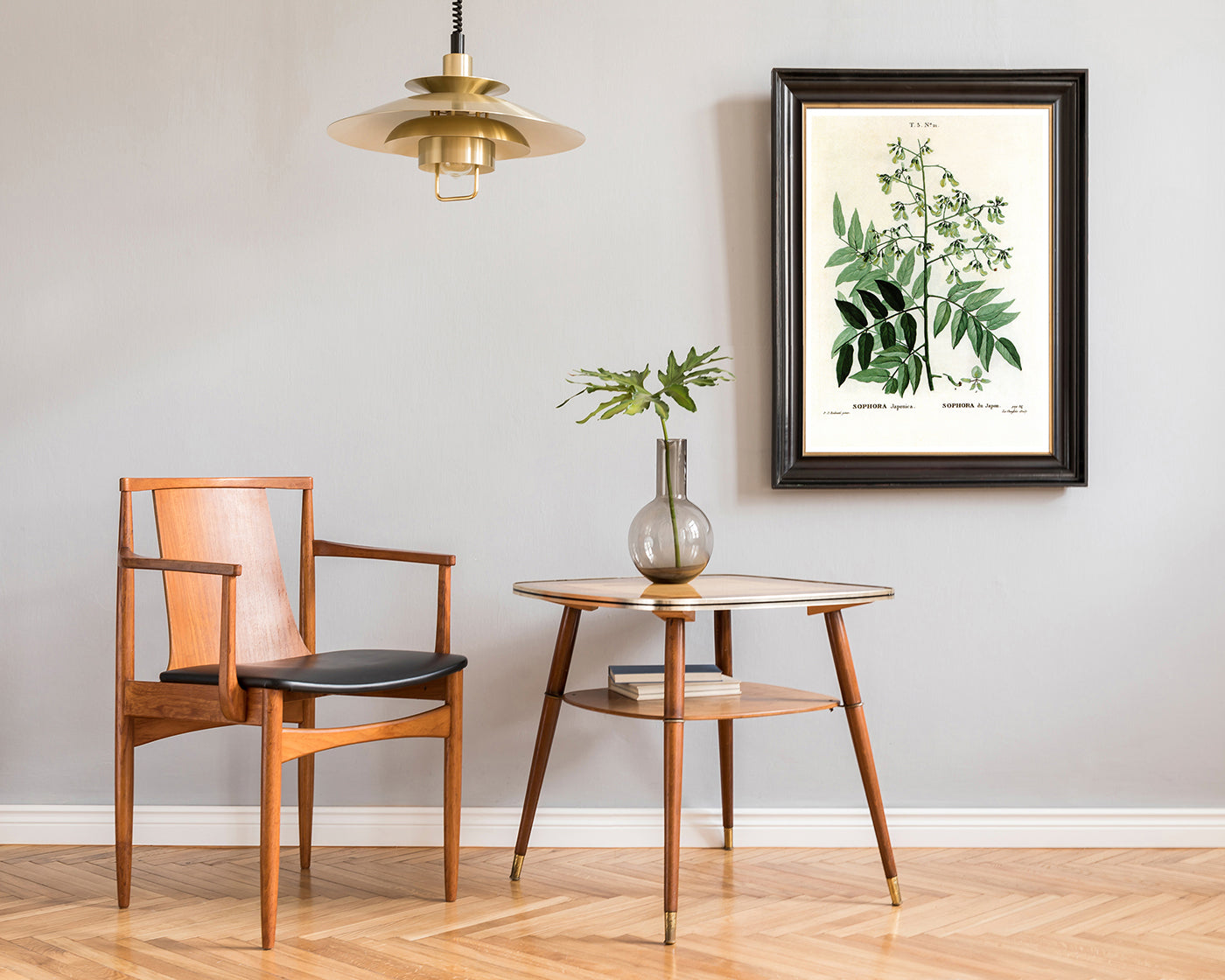 Sophora Japonica - Schnurbaum