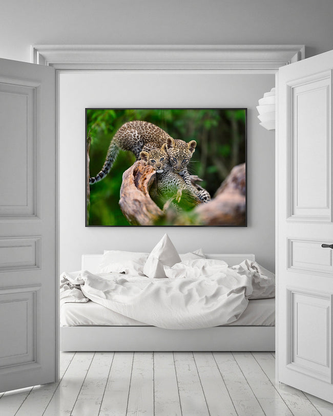 Süße Leoparden-Babies Hover Image