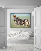 Zebra-Mama und Junges