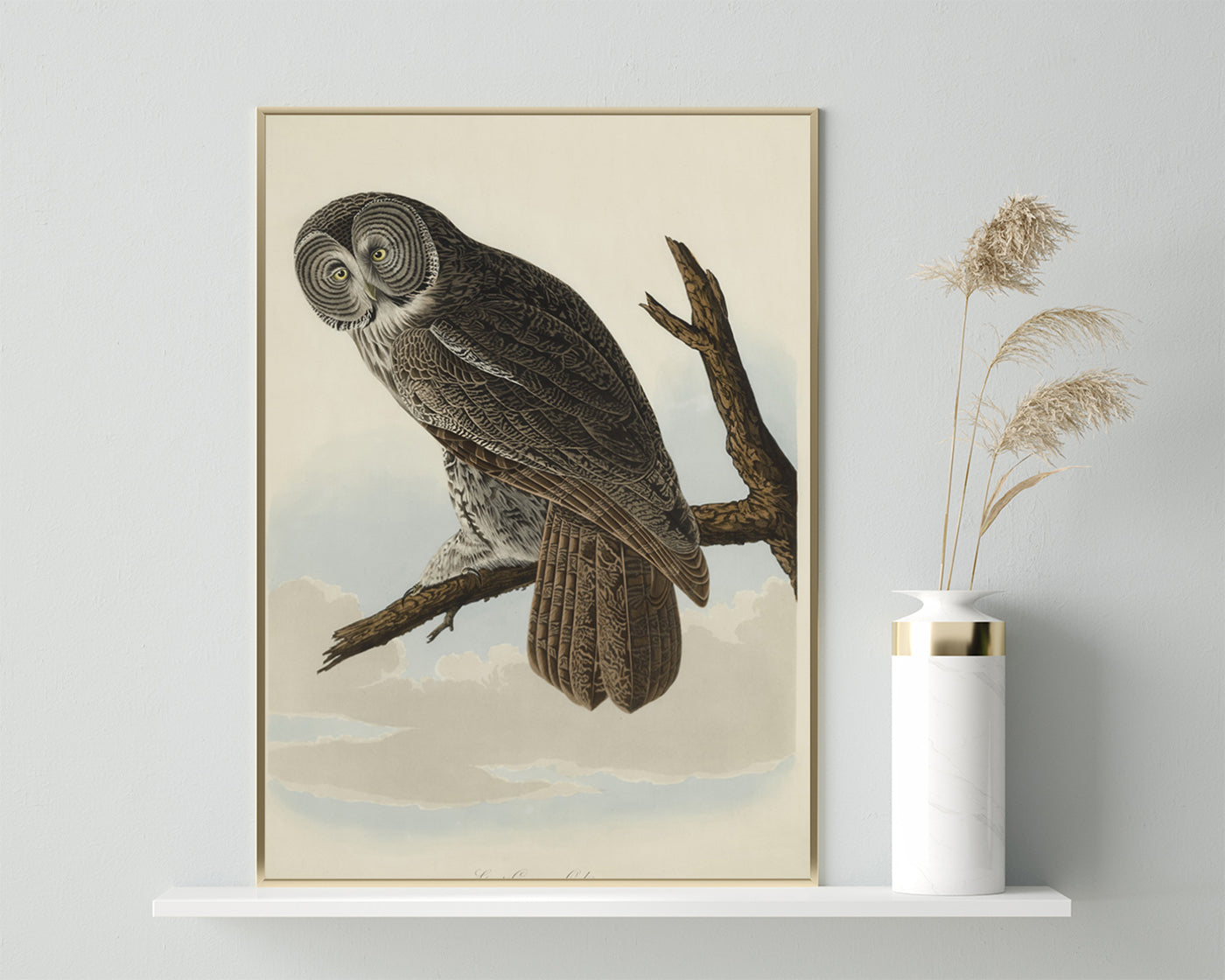 John James Audubon - Eule