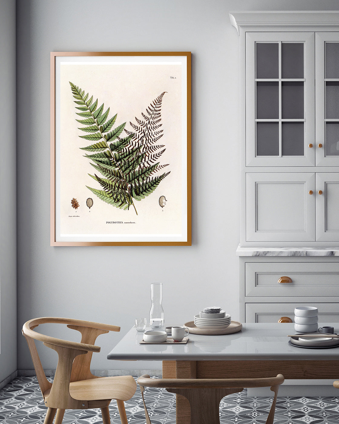 Polybotrya Osmundaceae - Zierpfeffer