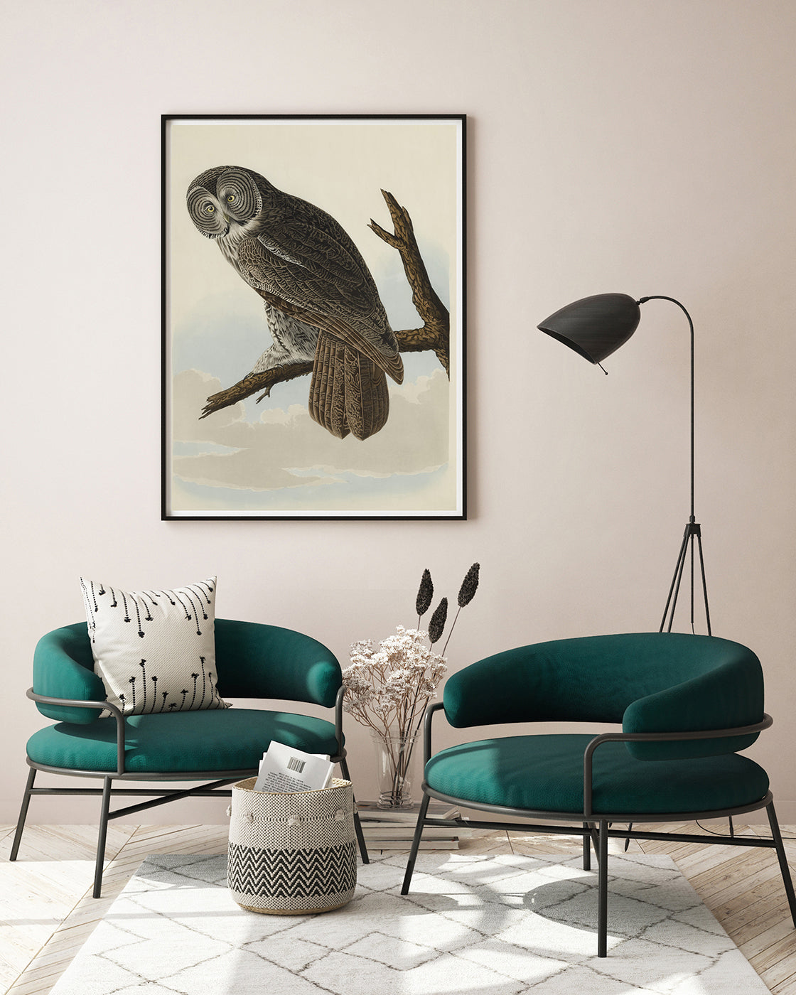 John James Audubon - Eule