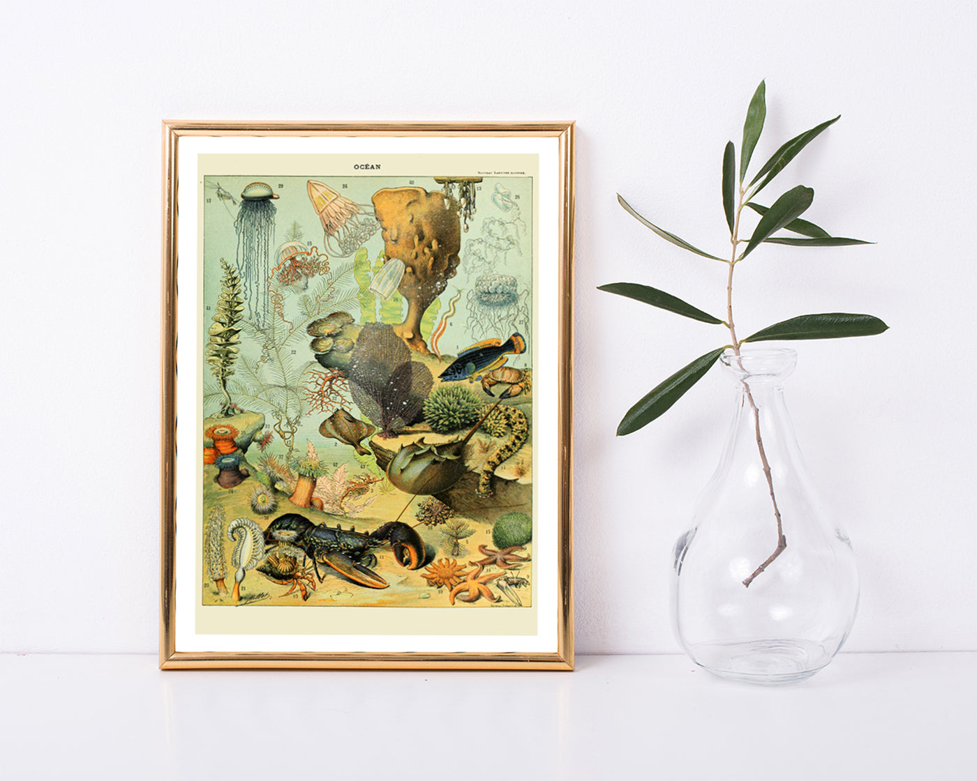 Adolphe Philippe Millot - Unterwasserwelt II