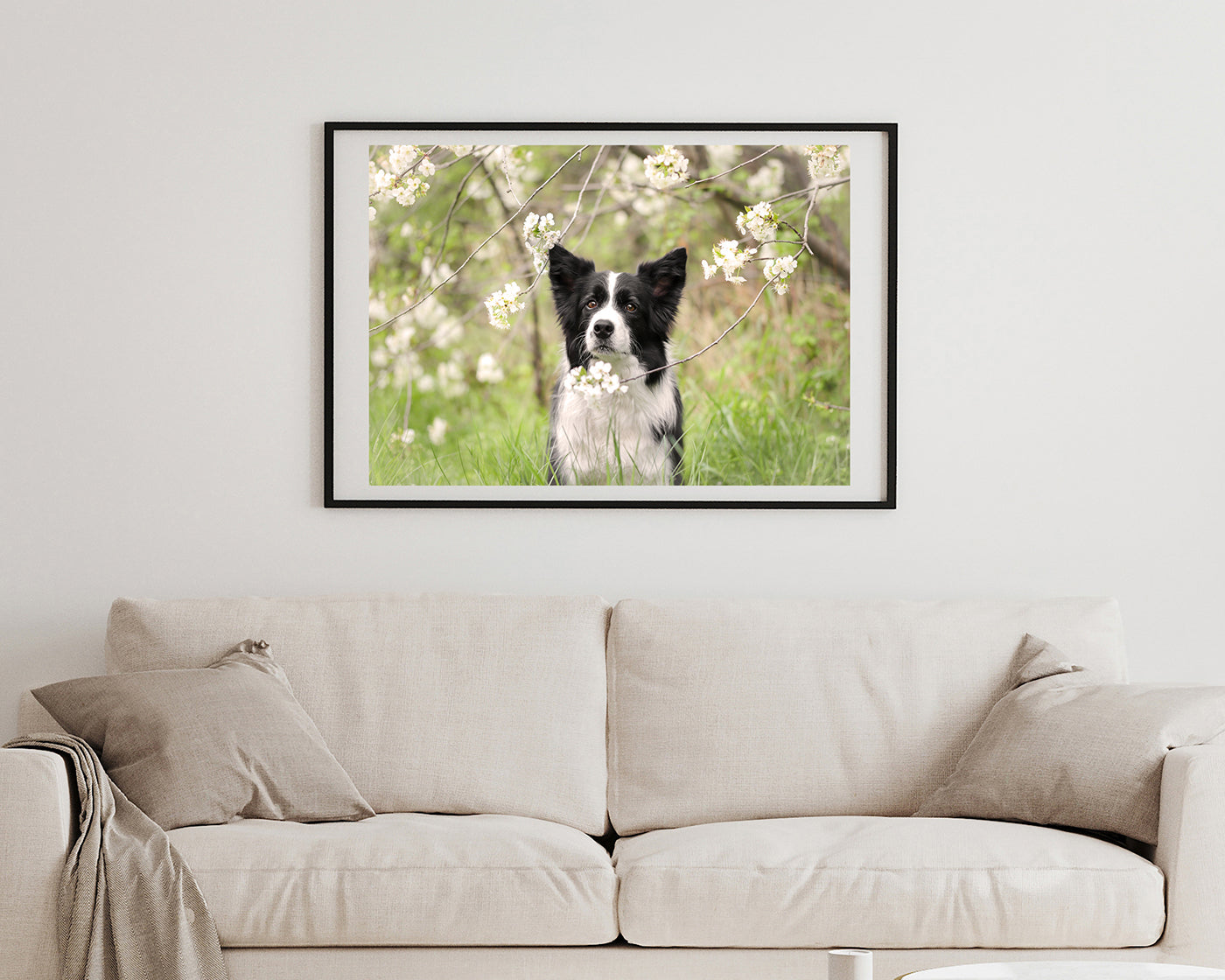 Süßer Hund in Blütenlandschaft