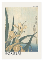 Katsushika Hokusai - Museum-Poster I Grashüpfer und Iris (Gelbe Blumen)