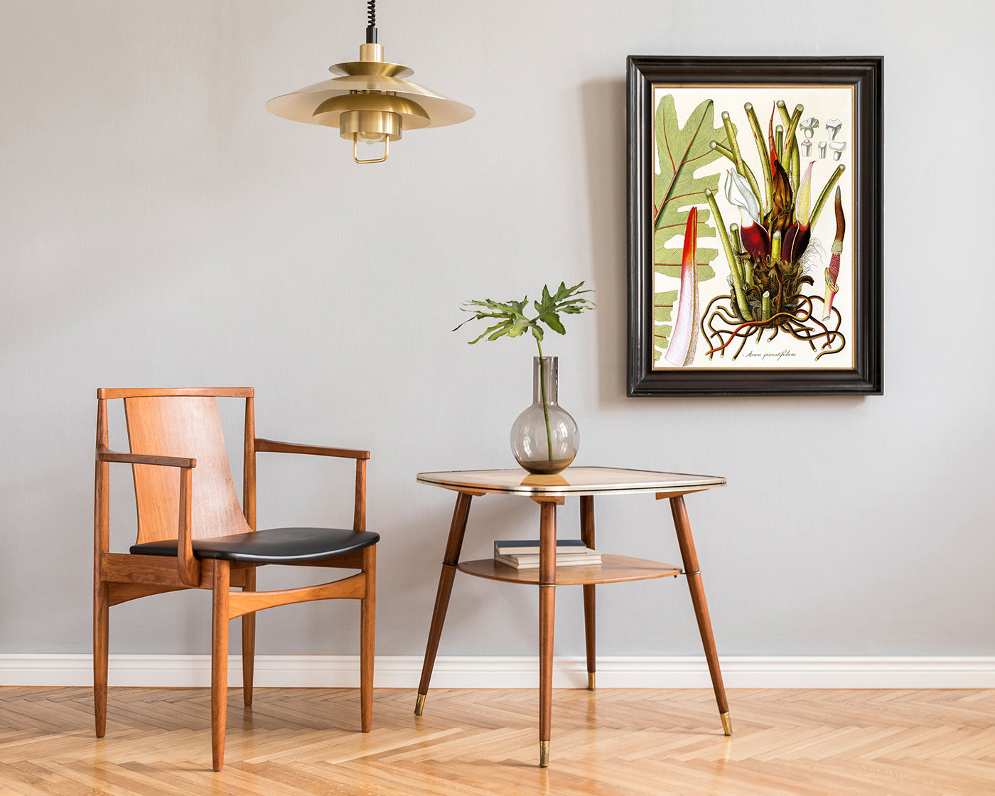 Arum Pinnatifidum - Pflanze mit rot-weißen Blüten