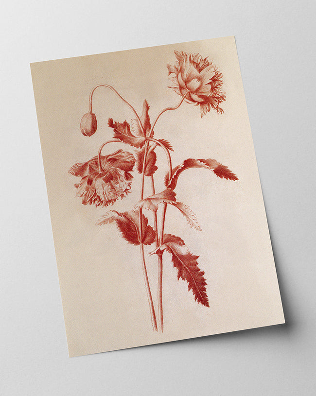 Blumenzeichnung Main Image