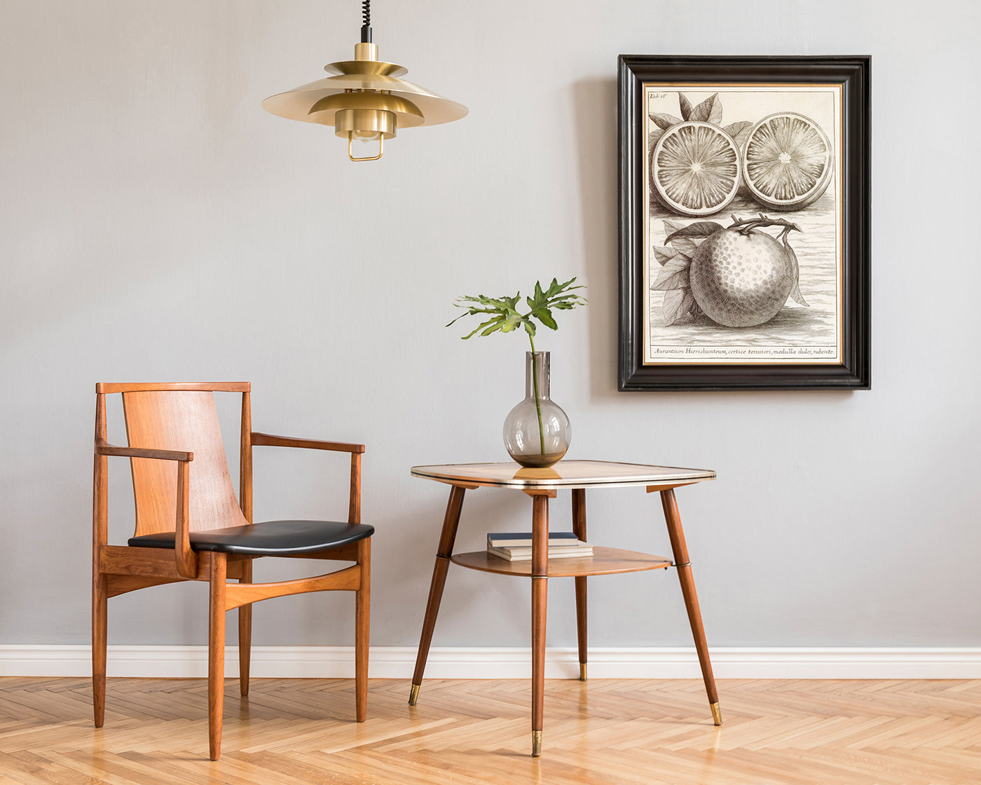 Citrus Aurantium - Zitruspflanze