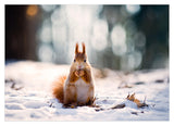 Eichhörnchen im Schnee