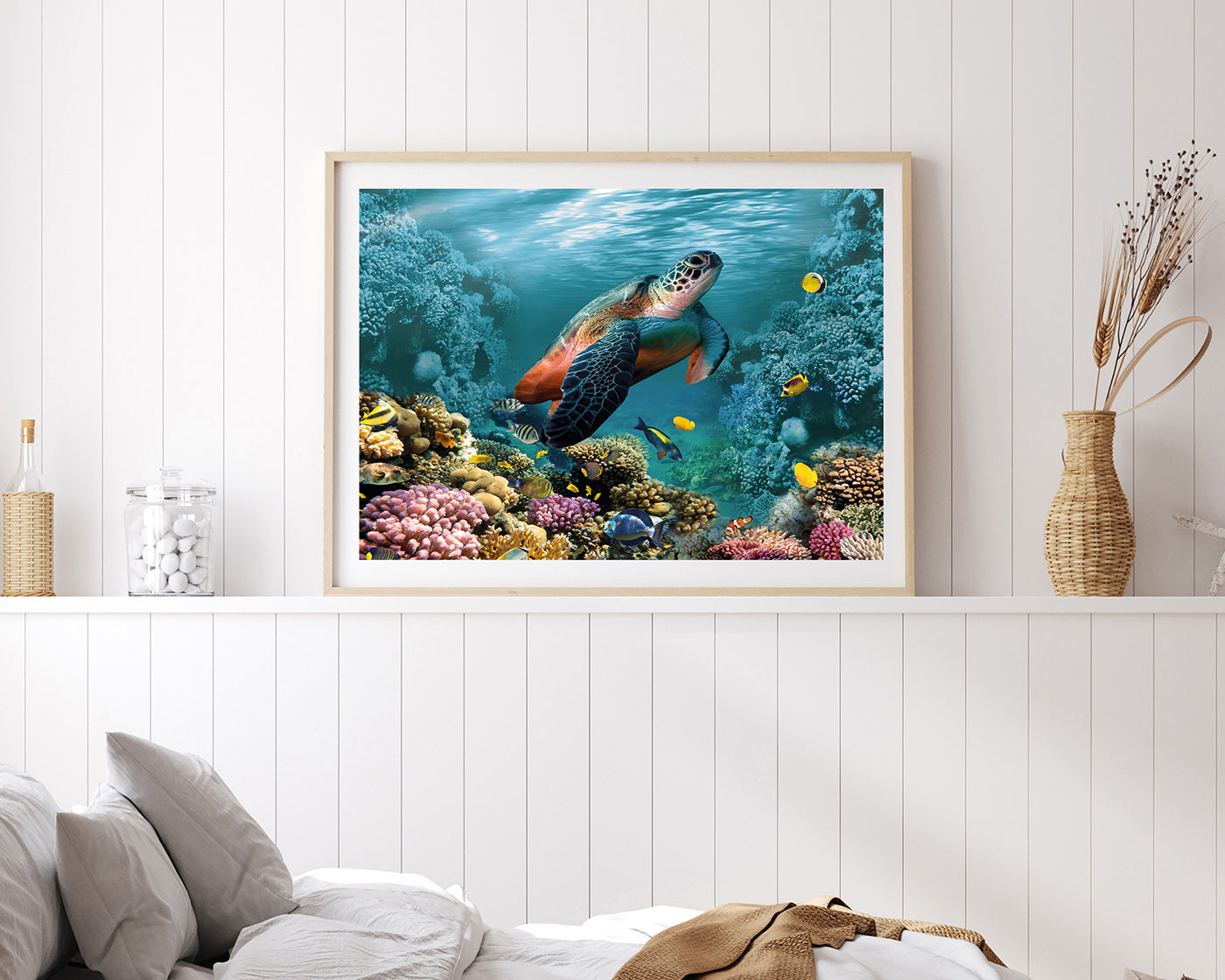 Schildkröte im Korallenriff