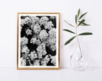 Blumen - Schwarz-Weiß