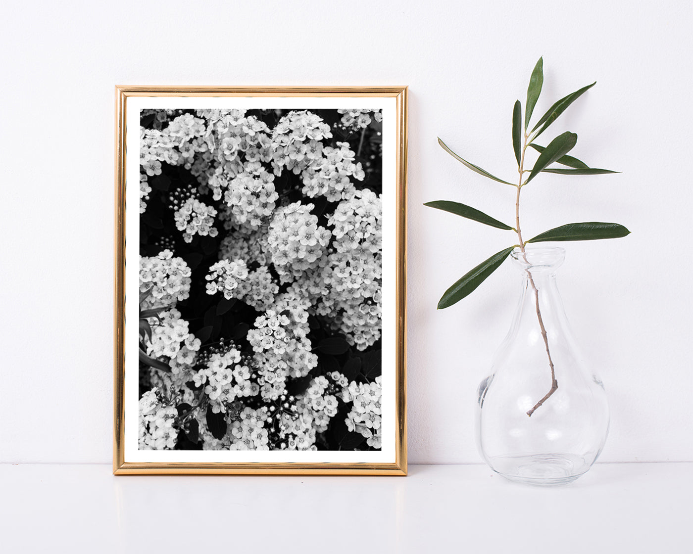 Blumen - Schwarz-Weiß