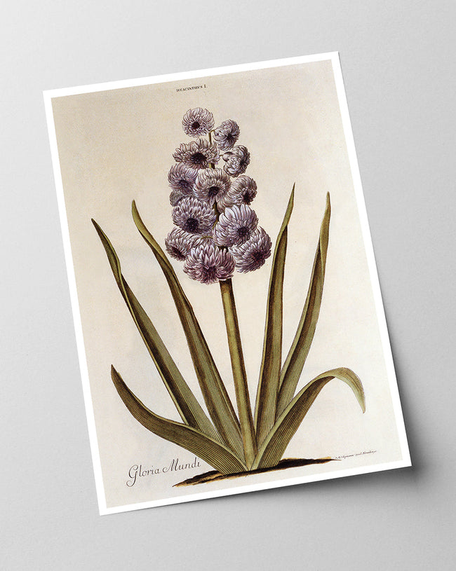 Pflanze mit lilafarbenen Blüten Main Image